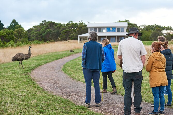 Dusk Discovery Tour - Key points at a glance
