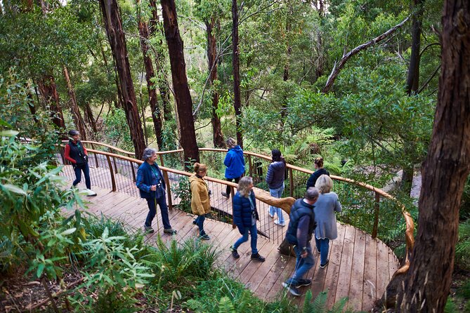 Dusk Discovery Tour - Why dusk is the right time for the Otways