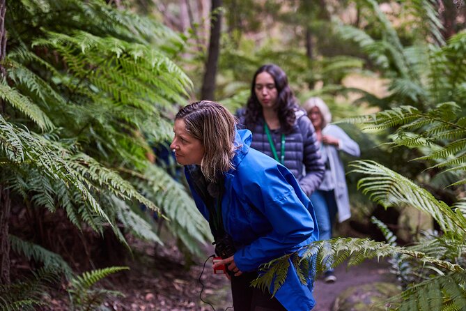 Dusk Discovery Tour - The role of the conservation guide