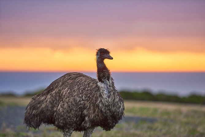 Dusk Discovery Tour - Following the 1.4km path through Wildlife Wonders