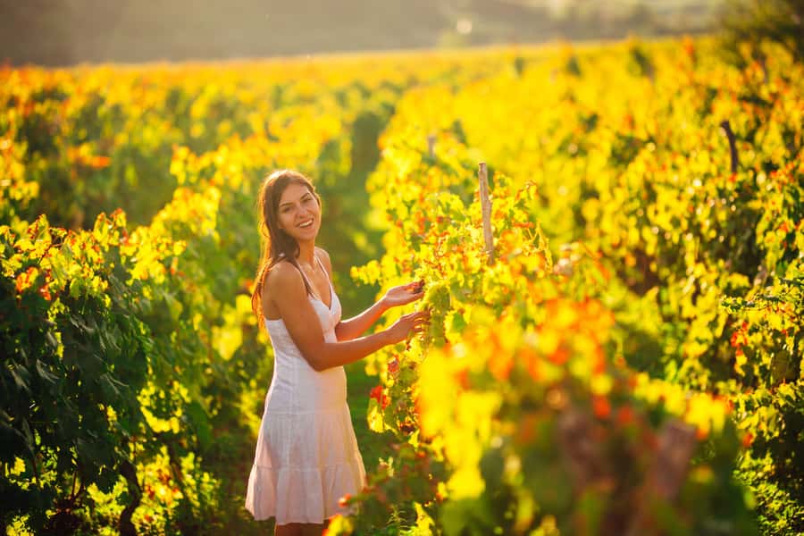 Experience Yarra Valley: A Tailored private Wine Journey - Leaving Melbourne for the Yarra Valley