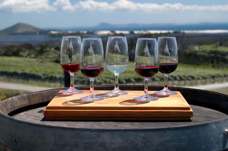 Experience Yarra Valley: A Tailored private Wine Journey - What the wine stops are really like