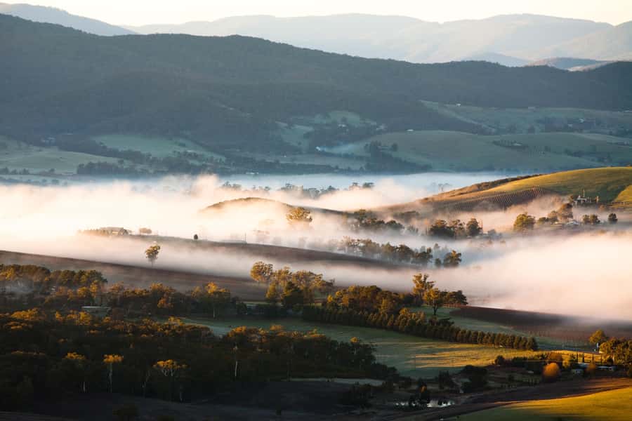 Experience Yarra Valley: A Tailored private Wine Journey - Choosing between one and four wineries