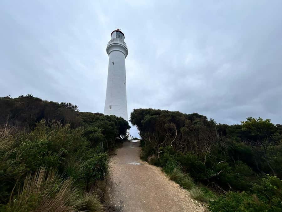 From Melbourne: 12 Apostles & Great Ocean Road Private Tour - Key things to know before booking