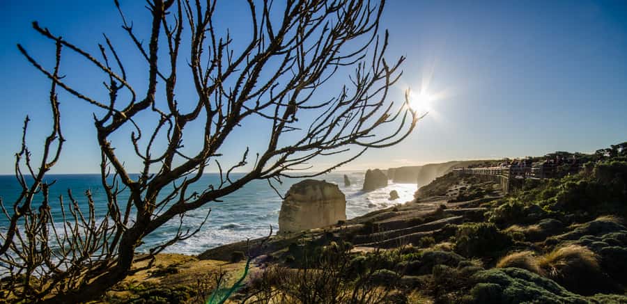 From Melbourne: 2-Day Great Ocean Road & Grampians Escape - The Otways add a welcome walk