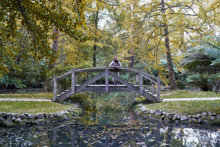 From Melbourne: Dandenong Ranges Private Day Tour - Cancellation, timing, and practical details