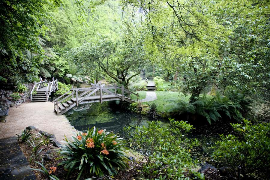From Melbourne: Dandenong Ranges Private Day Tour - A gentle walk among eucalyptus and ferns