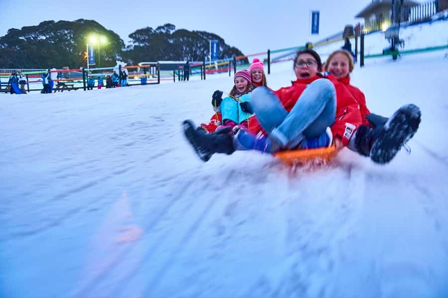 From Melbourne: Day Trip to Mt Buller by Premium Tour Coach - Key points to know before booking