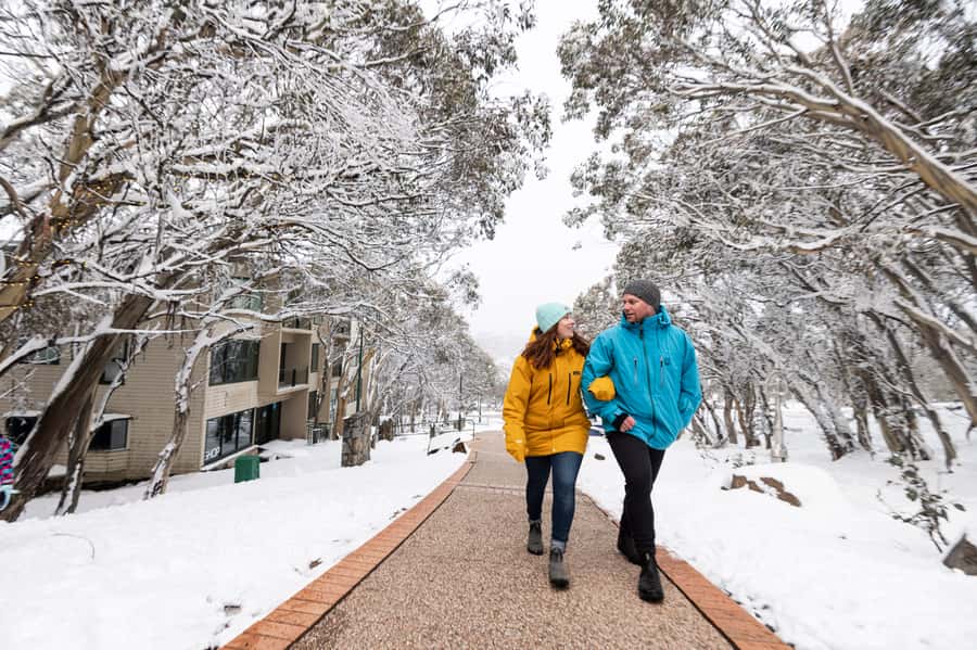 From Melbourne: Day Trip to Mt Buller by Premium Tour Coach - Small details that make the day easier