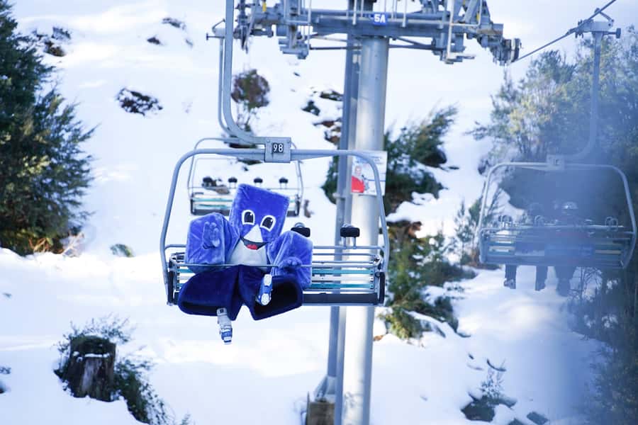 From Melbourne: Day Trip to Mt Buller by Premium Tour Coach - Why this coach trip works for a Mt Buller day