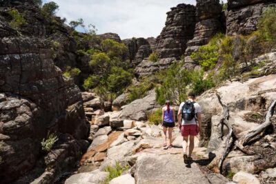 From Melbourne Grampians National Park Kangaroos Guided Tour