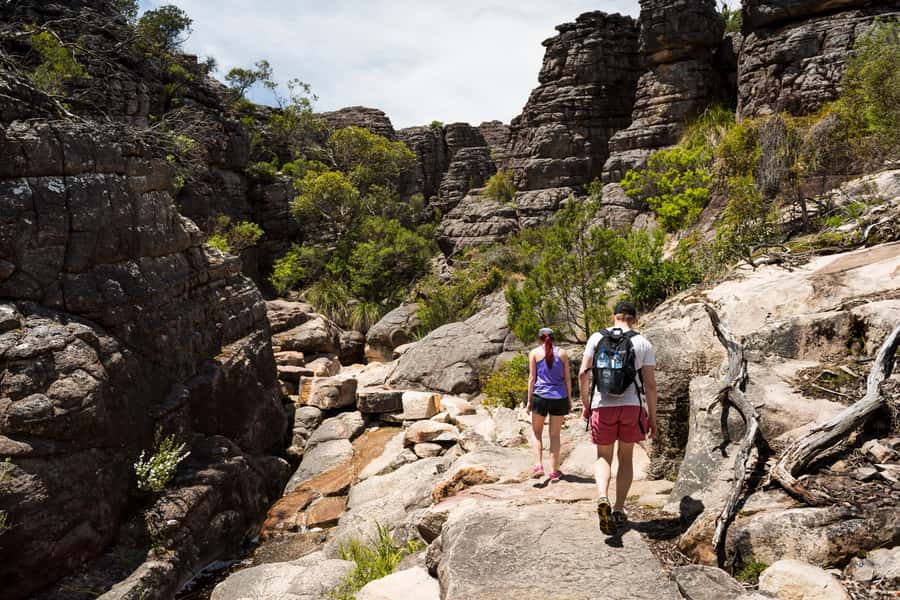 From Melbourne Grampians National Park Kangaroos Guided Tour - Brambuk and the six seasons of the Grampians