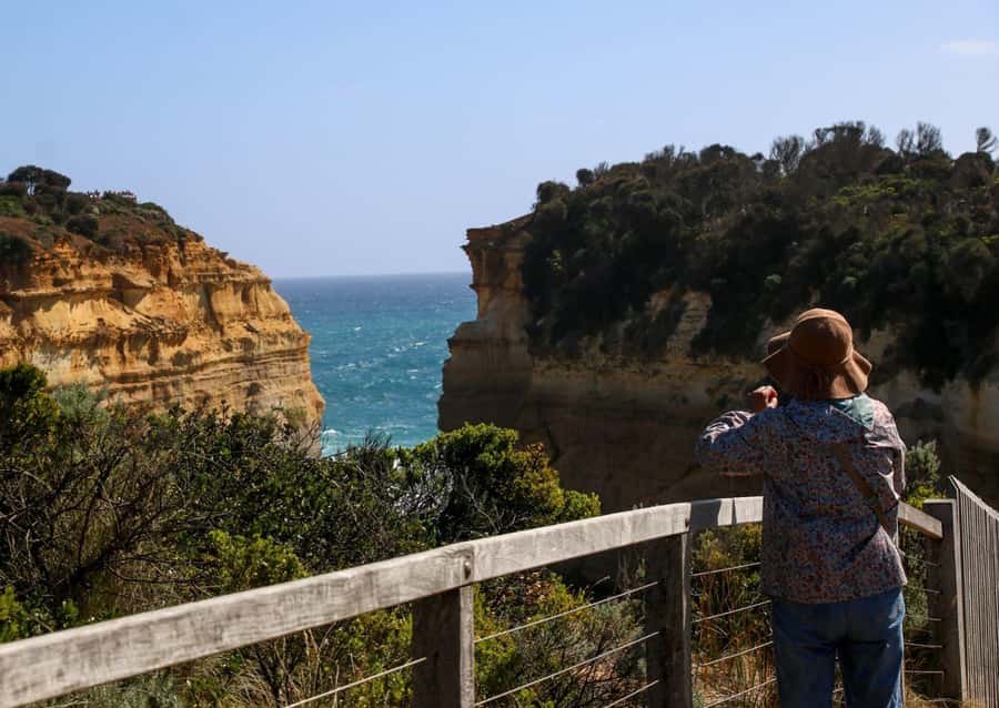 From Melbourne: Great Ocean Road & 12 Apostles Full-Day Tour - Melba Gully and the Cascades of Melba Gully walk