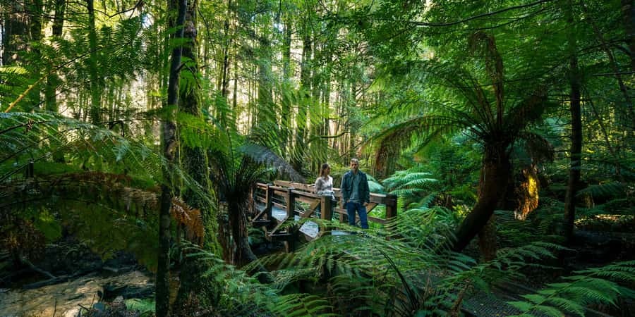 From Melbourne: Great Ocean Road & 12 Apostles Full-Day Tour - Loch Ard Gorge and a famous shipwreck story