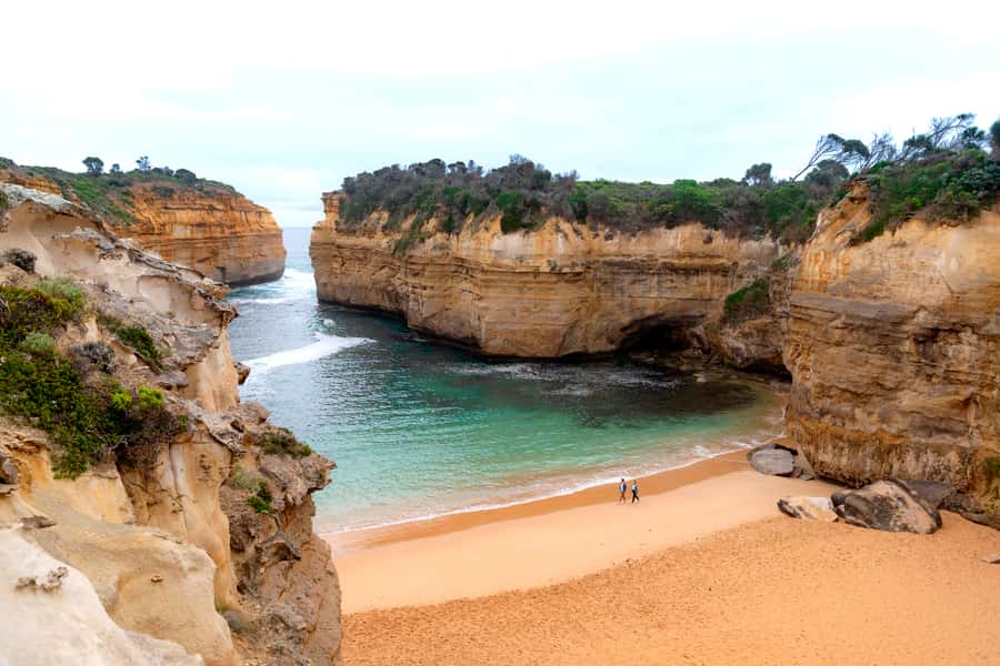 From Melbourne: Great Ocean Road, 12 Apostles & Koalas - Kennett River offers a chance to find wild koalas
