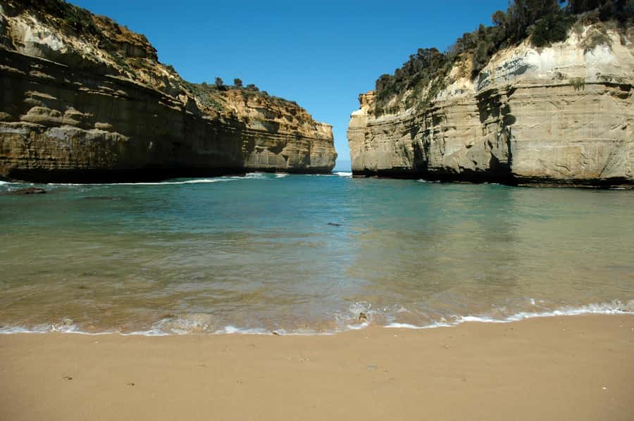 From Melbourne: Great Ocean Road, 12 Apostles, Wildlife Tour - Finding koalas and parrots in the wild