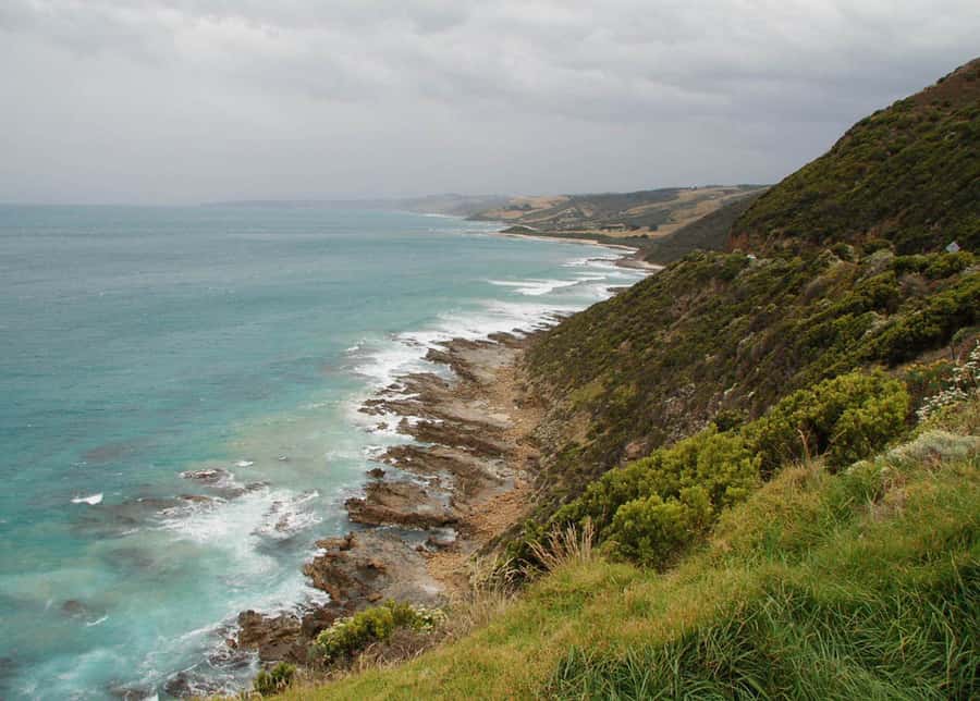 From Melbourne: Great Ocean Road Day Tour - Guides who make the road time count