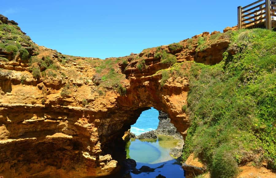 From Melbourne: Great Ocean Road Day Trip with Dinner - The Twelve Apostles are the main event