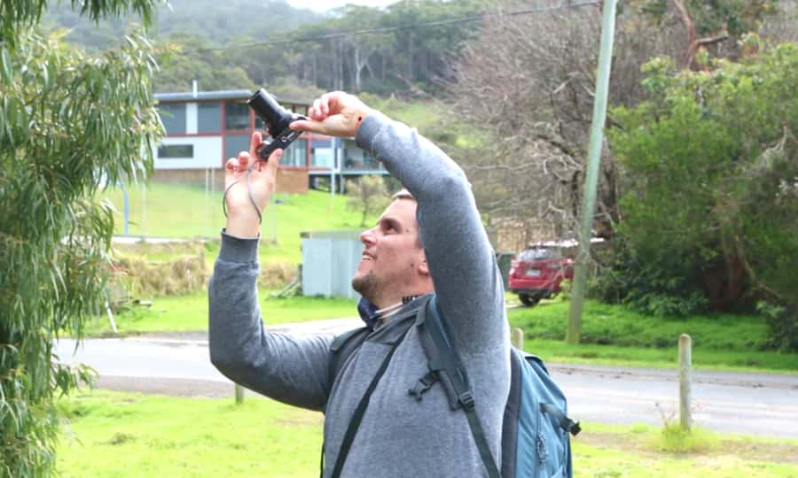 From Melbourne: Great Ocean Road Full-Day Sunset Tour - Anglesea: A Gentle Start on the Coast