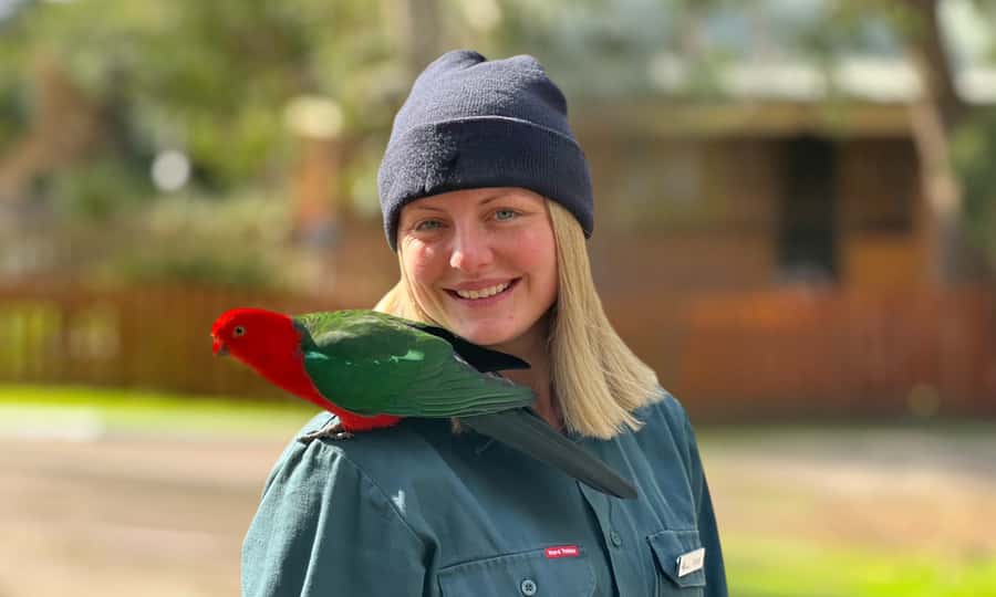 From Melbourne: Great Ocean Road Full-Day Sunset Tour - Lorne and the Seasonal Schedule