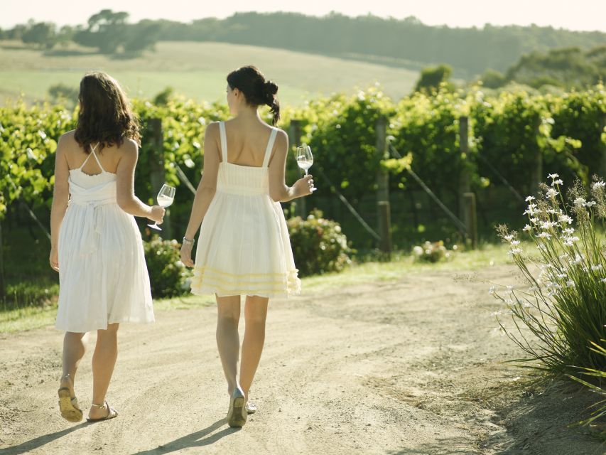 From Melbourne: Mornington Peninsula Food & Wine Taste Trail - The pace, group comfort, and guide style