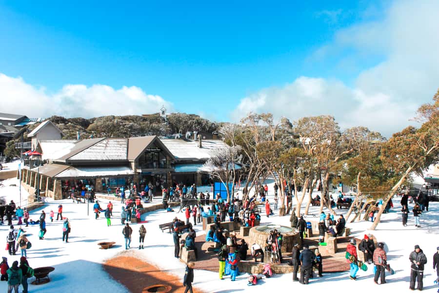 From Melbourne: Mount Buller Guided Day Tour - Why Mount Buller makes a good day trip from Melbourne