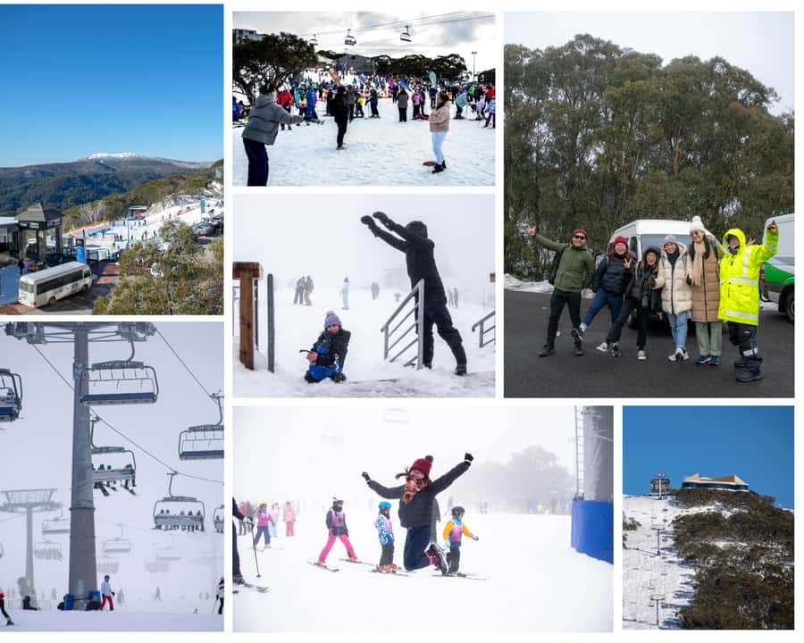 From Melbourne: Mount Buller Guided Day Tour - The road north and the Yea break