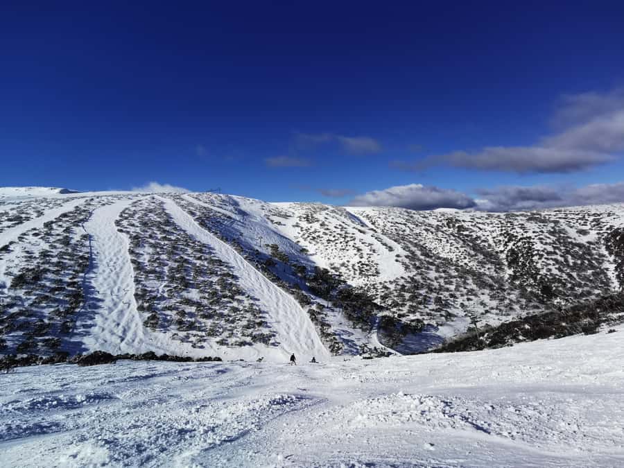From Melbourne: Mount Buller Guided Day Tour - Photography and what the tour does not promise