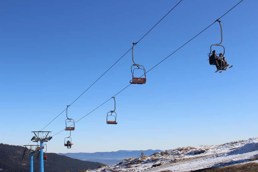 From Melbourne: Mt Buller Scenic Snow Getaway Day Tour - Key points at a glance