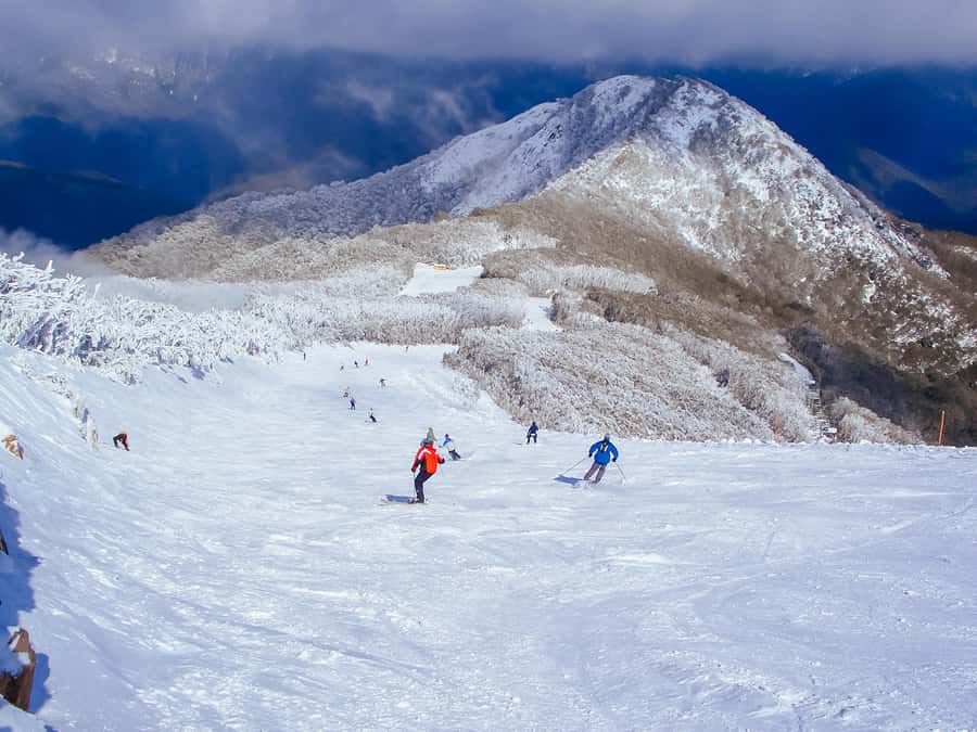 From Melbourne: Mt Buller Scenic Snow Getaway Day Tour - The Yea stop breaks up the long drive