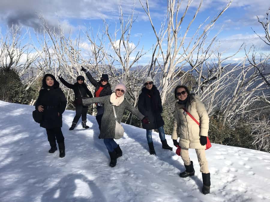 From Melbourne: Mt Buller Snow Day Small Group Boutique Tour - Why the small group changes the Mt Buller day
