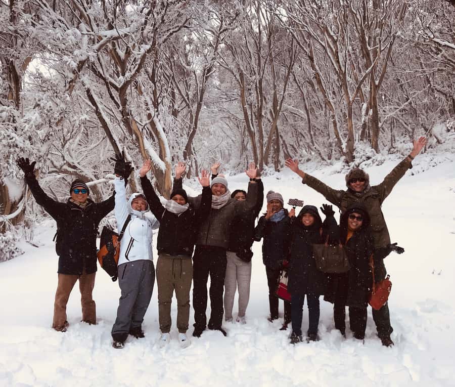 From Melbourne: Mt Buller Snow Day Small Group Boutique Tour - Horse Hill Toboggan and Snowplay Park