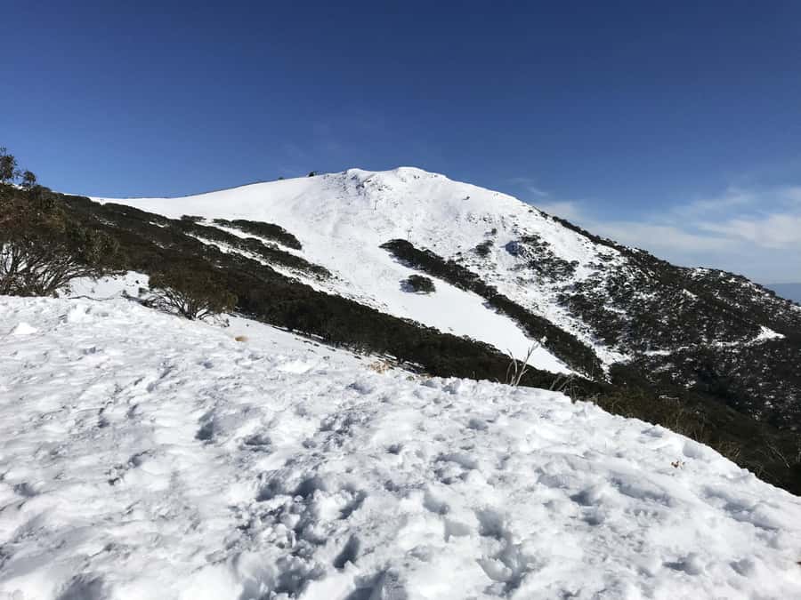 From Melbourne: Mt Buller Snow Day Small Group Boutique Tour - Mt Buller Village, lunch, and a Swiss-style setting