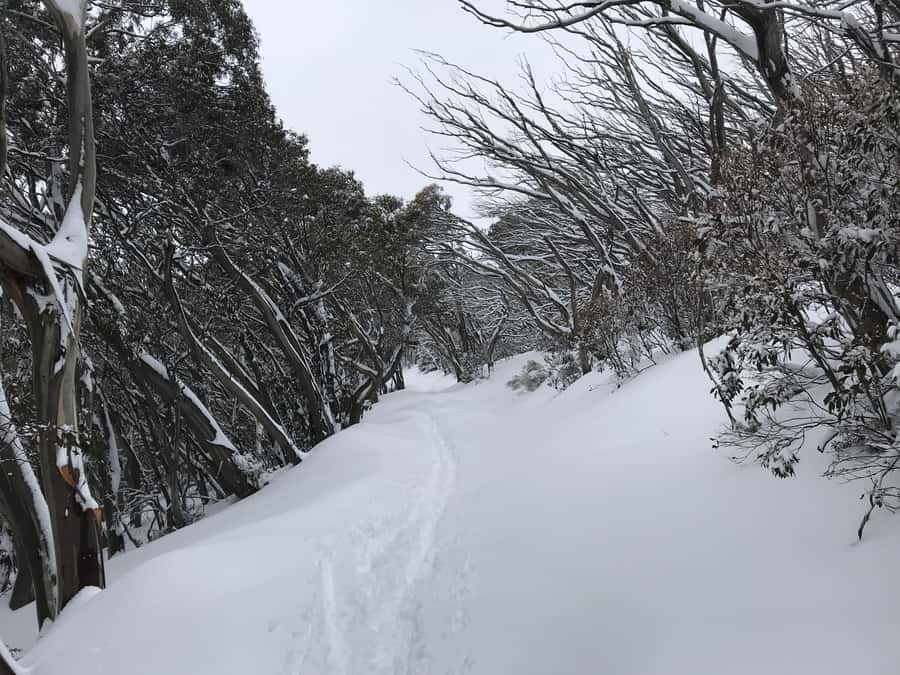 From Melbourne: Mt Buller Snow Day Small Group Boutique Tour - The one-hour Village Circuit Track