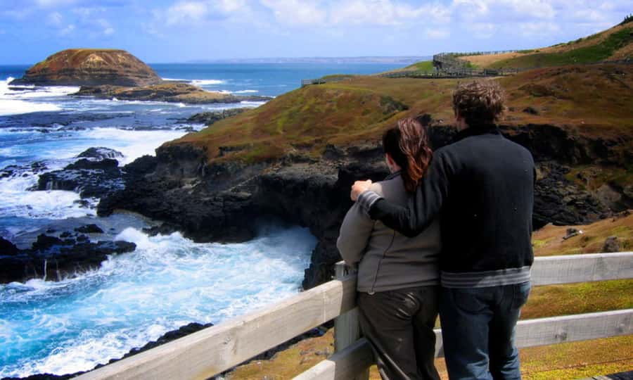 From Melbourne: Penguin Parade Afternoon Tour - Booking details worth knowing