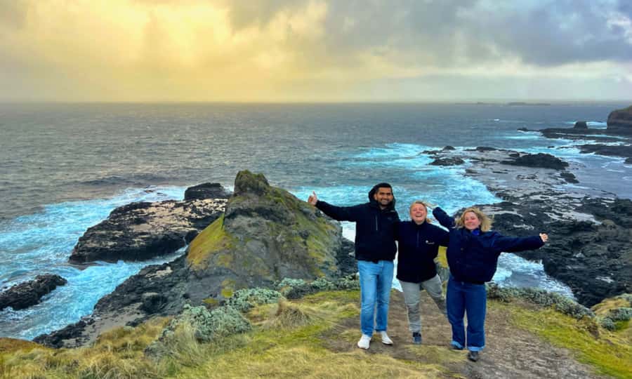 From Melbourne: Penguin Parade Afternoon Tour - The Nobbies, cliffs and open ocean