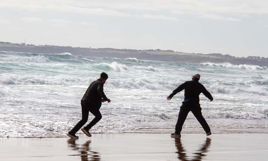 From Melbourne: Penguin Parade Afternoon Tour - Food, breaks and what to carry
