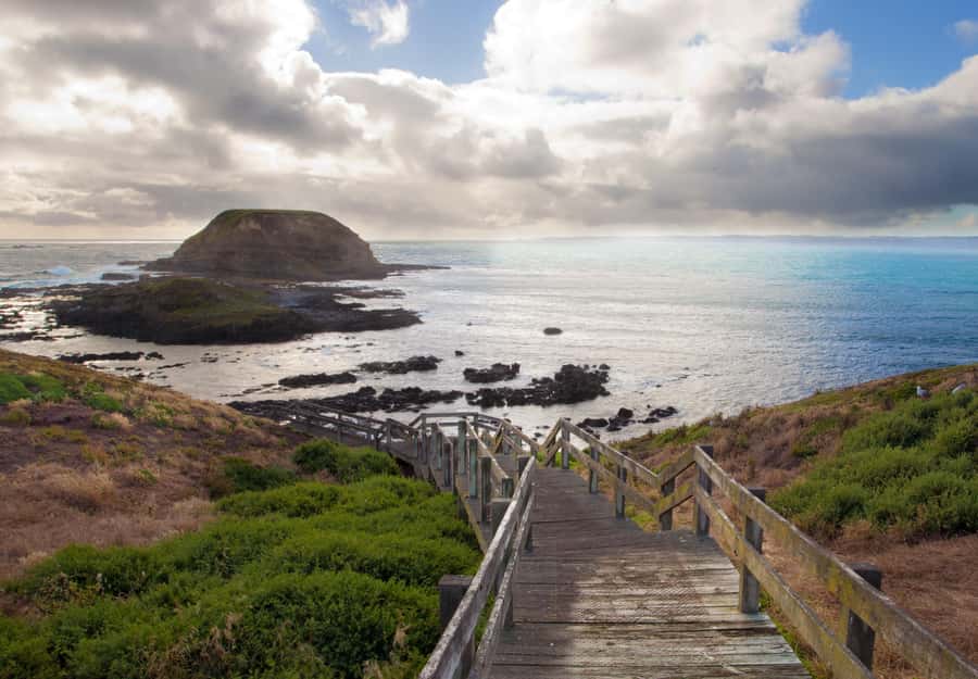 From Melbourne: Penguin Parade, Koalas & Kangaroos - Key points to know before booking