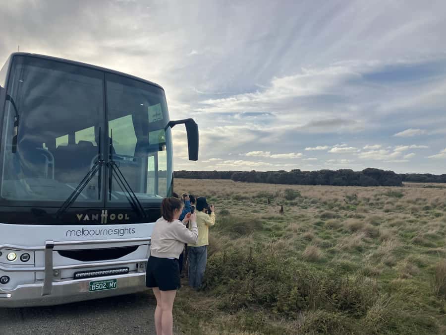 From Melbourne: Phillip Is Penguin Parade & Koala Reserve - Food, clothing, and what to bring