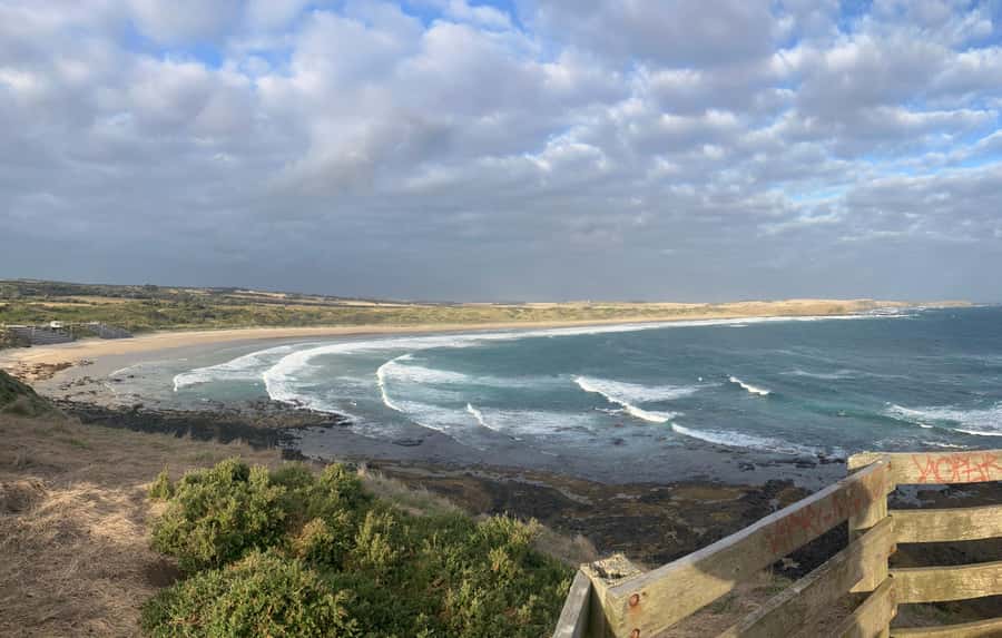 From Melbourne: Phillip Is Penguin Parade & Koala Reserve - How much value does the tour offer?