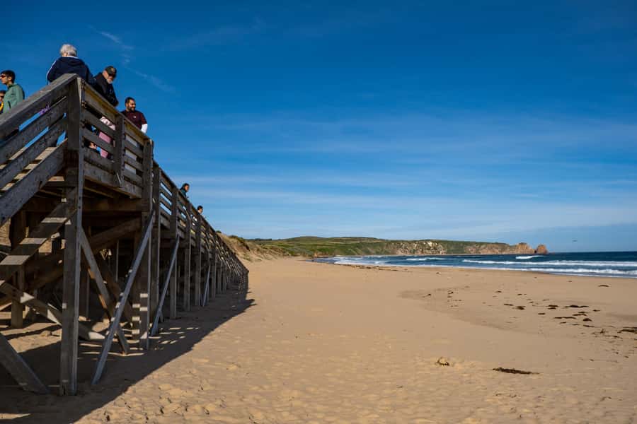 From Melbourne: Phillip Island and Penguin Parade Day Tour - Waiting for the Penguin Parade at Summerland Beach
