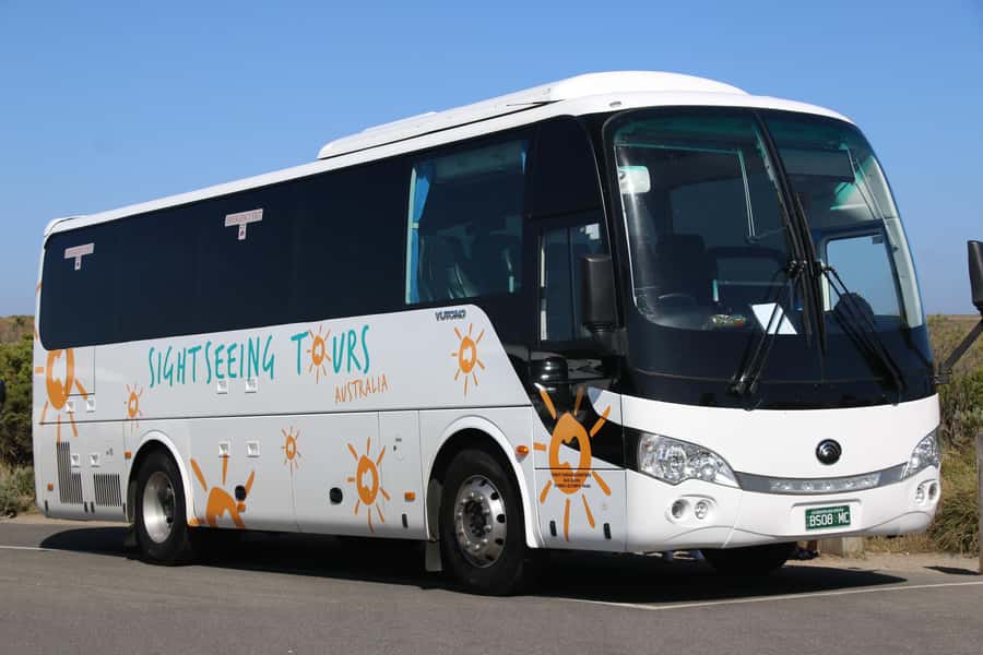 From Melbourne: Phillip Island and Penguin Parade Day Tour - The long day, the coach, and the practical tradeoffs
