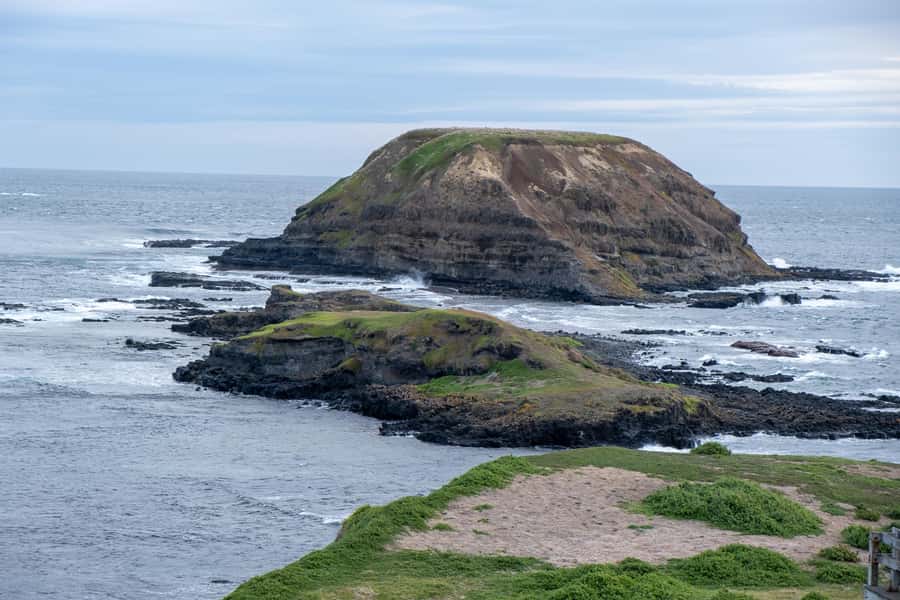 From Melbourne: Phillip Island and Penguin Parade Day Tour - Who will enjoy this Phillip Island tour?