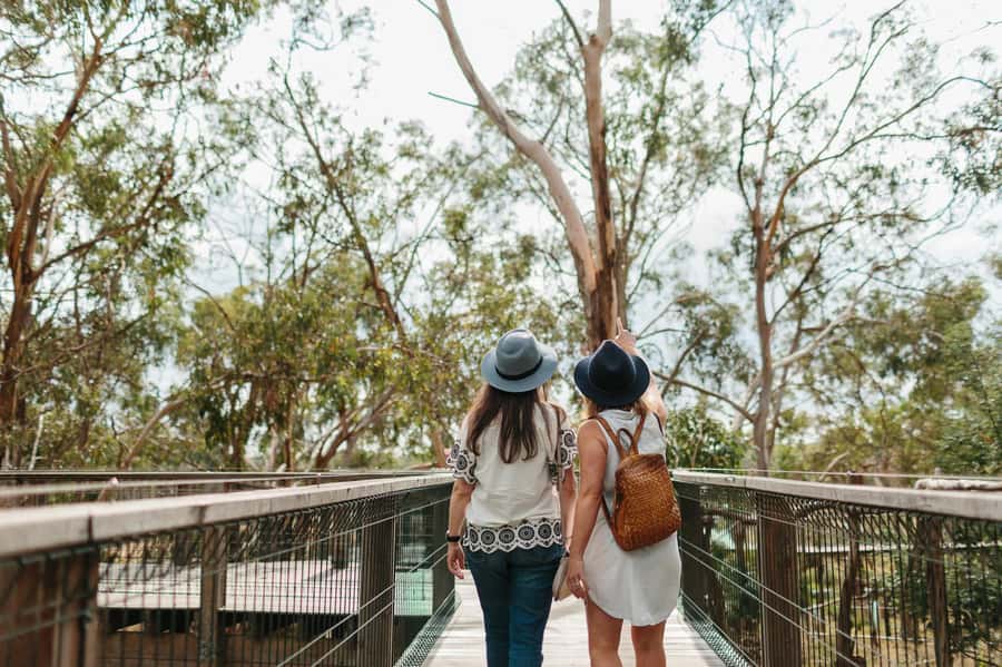 From Melbourne: Phillip Island Penguin Parade & Koalas Tour - A long bus day made easier by a strong guide