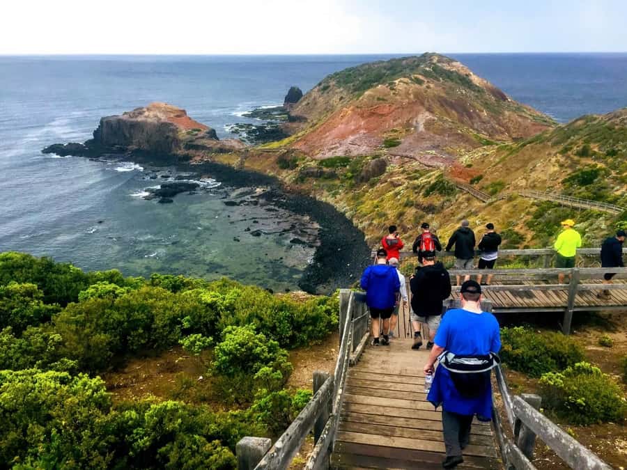 From Melbourne: Phillip Island Penguin Parade Private Tour - Key points to know before booking
