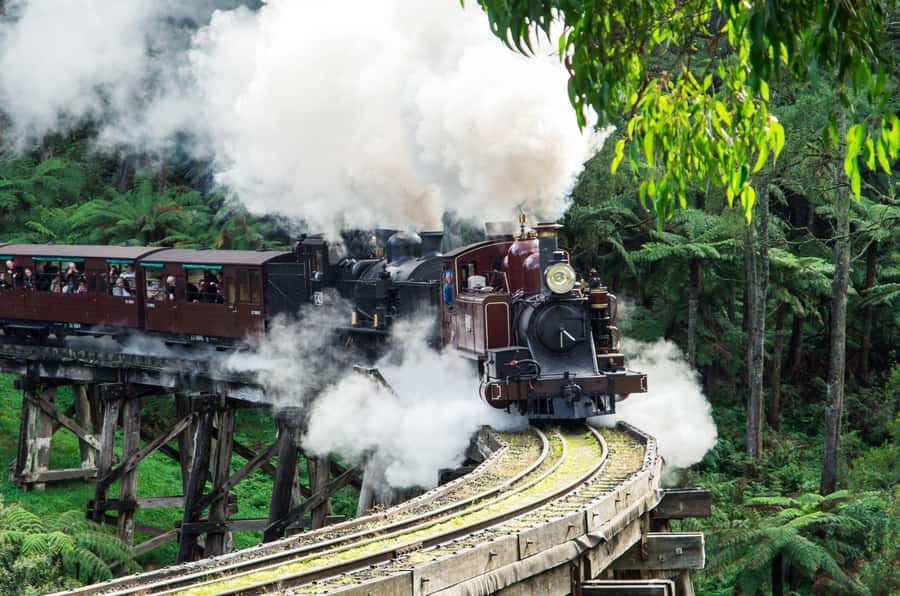 From Melbourne: Puffing Billy and Penguin Parade Combo Tour - Key points to know before booking