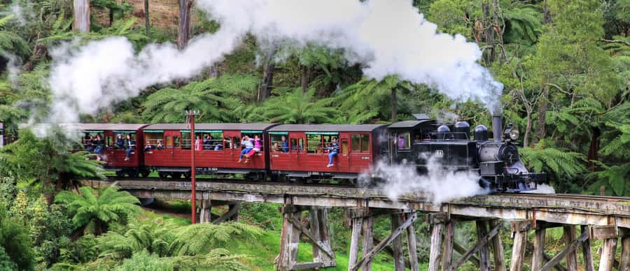 From Melbourne: Puffing Billy and Penguin Parade Combo Tour - Why this combo works from Melbourne