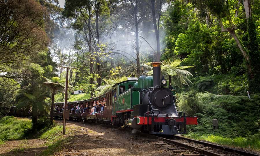 From Melbourne: Puffing Billy & Penguins Combo Tour Package - Is the $173 price good value?