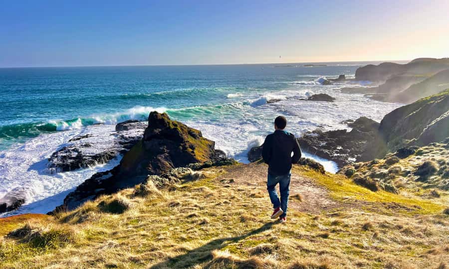 From Melbourne: Puffing Billy & Penguins Combo Tour Package - The midday reset in Melbourne
