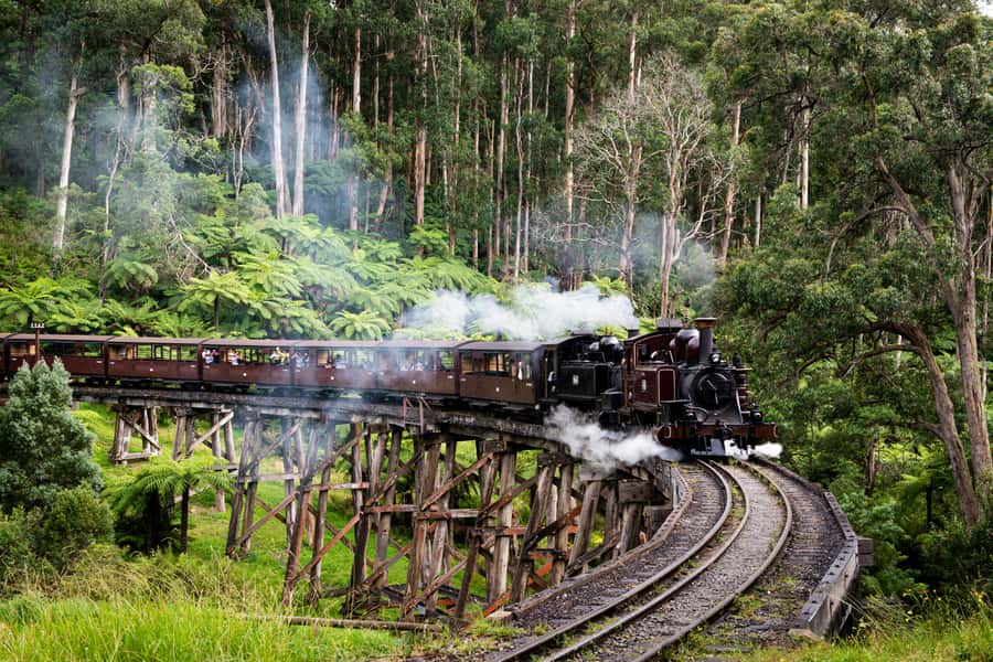 From Melbourne: Puffing Billy Steam Train & Wildlife Tour - Key points to know before booking